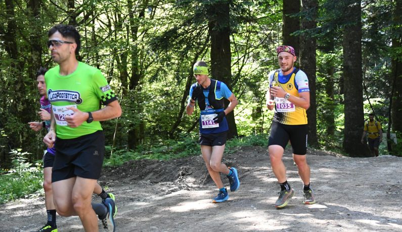 Trail Sacred Forest 14 Km